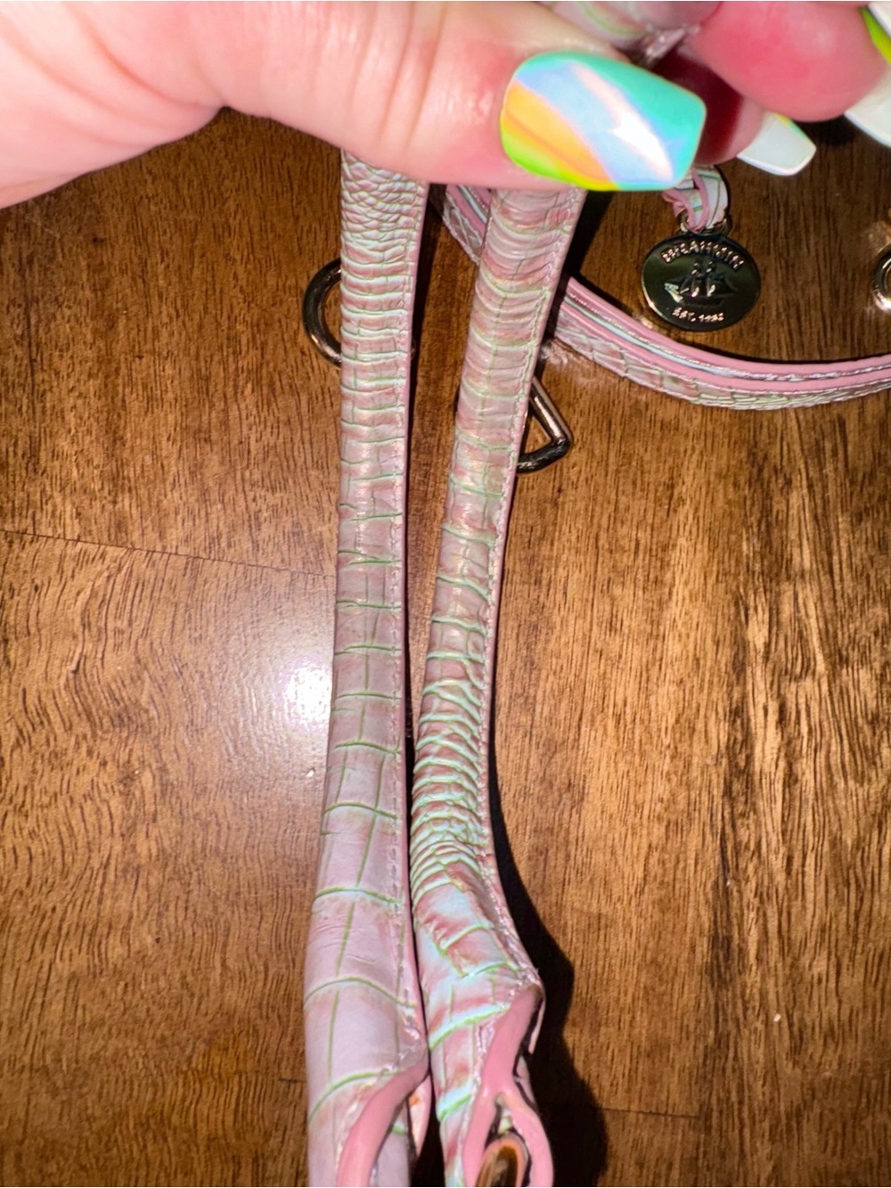Brahmin Flirty Ombré—Pink/Green Croc-Texture Bag Straps with Gold Hardware - Picture 6 of 13